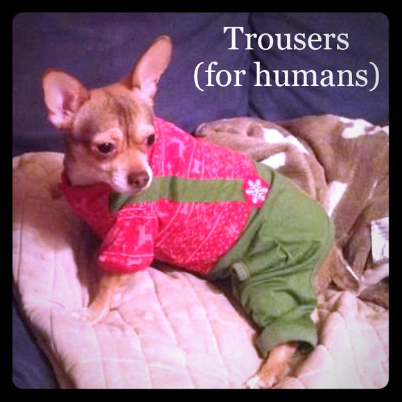 Other - ⭐️ dress pants & more ⭐️